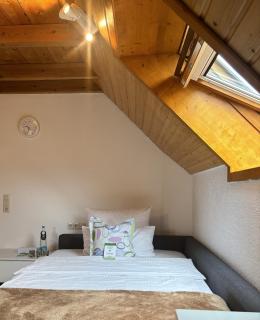 Geräumiges Studio Apartment - 1