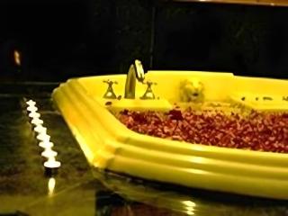 Gajahmada Graha Hotel - 3