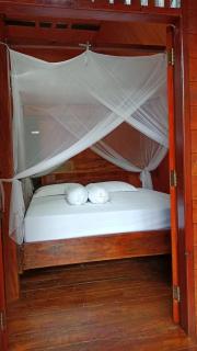 Batu Katak Jungle River - 1