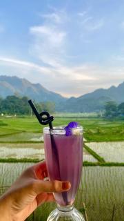 Meadow Mai Chau Homestay - 1