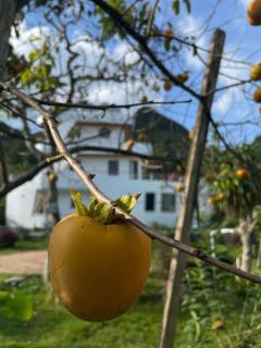 Titanic Mộc Châu - 9