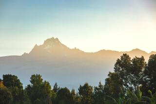 O-Frame by WildFoot - 9