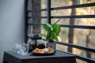 Blackpearl Sparklewoods - 9