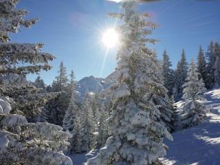 Ferienwohnung Bargehr Marion - 6
