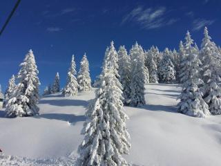 Ferienwohnung Bargehr Marion - 5