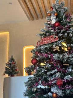 Aura Beachfront Hotel - Apartment - 8