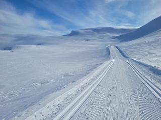 Family-friendly cabin at Høgevarde! - 9