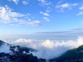 TGlobal Quynh Hoa Tam Dao - 4