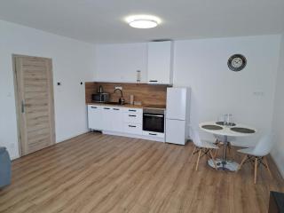 Apartmány Karpatia s historickým výkladom - 7