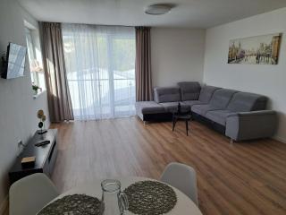 Apartmány Karpatia s historickým výkladom - Svidník - 0