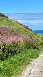 Hotel Strandlyst Badehotel - 5