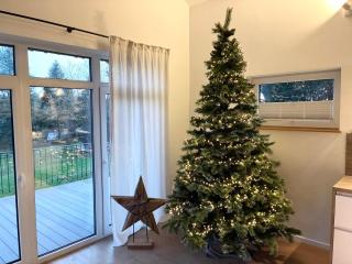 Forest Retreat- Serene 160m2 with Forest Views - 0