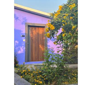 The VIA VARANASI Resort - Benares - 9