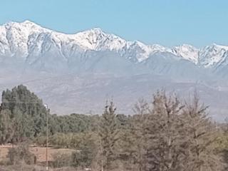 Riad tania mozaik - 9