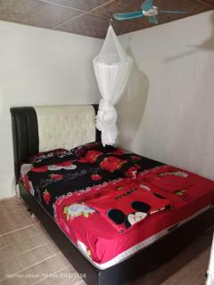 Batu Katak Jungle River - 9