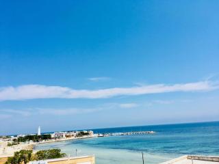 Appartamento Rosa Blu 1P - MyHo Casa - 1