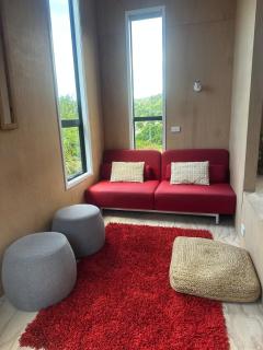 The Little Blue Haus - Pet Friendly Eco Pad, Nelson, NZ - 5