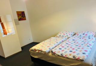 Krásný byt v srdci historického Tábora - 0