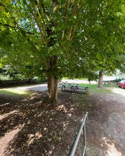 Krásný byt v srdci historického Tábora - 6