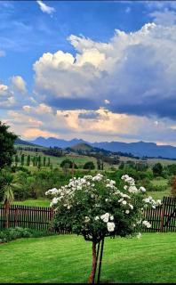 Mystic Mountain Cottage - Clarens - 5