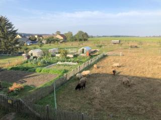 Hirtenwohnung im Arbeiterhaus - 2