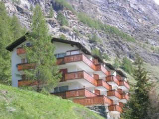 Zermatt Panoramic View Flat - 2