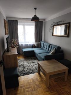 Przytulne mieszkanie Szopena - 0