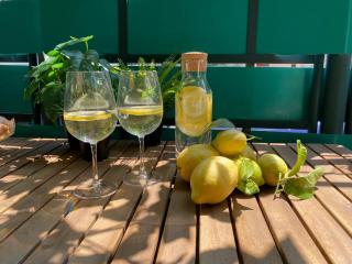 Fetta di Limone Apartment with AC and Patio - 6