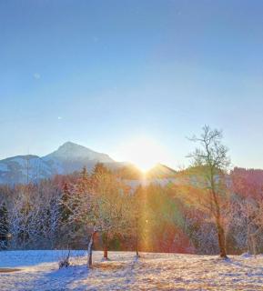Ferienwohnung Schösserhof - 4