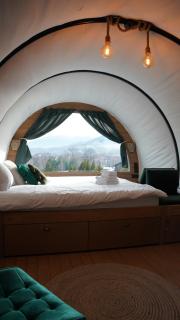 Nomad by Hora cu Brazi - 6