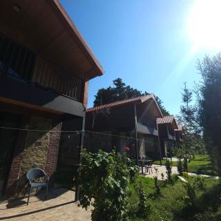 Iveria Parky and cottages - 7