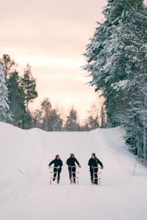 Lapland Nature and Health - 2