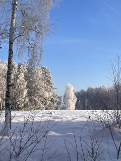 Siedlisko Dańce 91 - 9