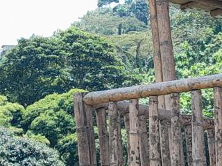 Cabañas rurales Arabi - 9