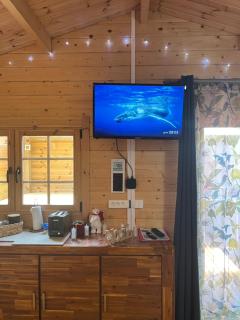 Les chalets de Marie 974 - Jacuzzi SPA Privatif sans vis à vis , vue mer - 4