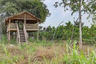 Aanandam Villas and Resort by ELIVAAS - 3