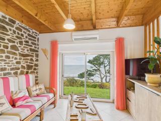 Face à l'océan - Jolie maison pour 4 - Jardin - 9