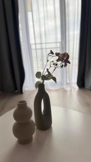 River Tower View - 8