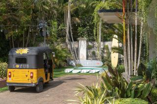 Lotus Surf And Wellness - 0