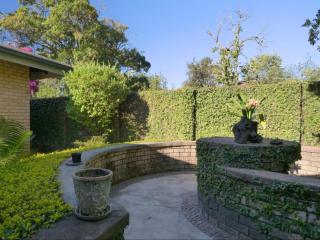 Forest and Ferns - 3