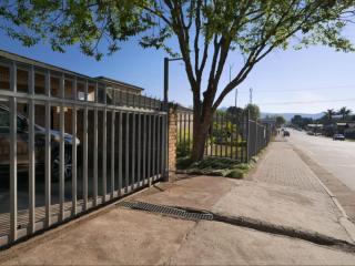 Forest and Ferns - 8