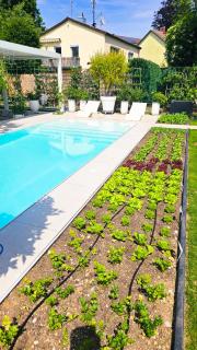 Luxurious large home with Pool, Garden, Koi Pond only 12 min to Octoberfest - 7