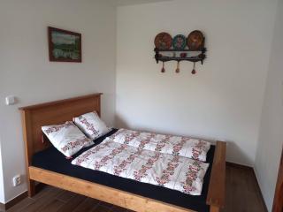 Ubytováni U rybníčku - 7