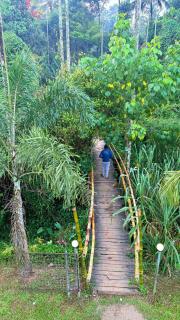 Grand Glorious Resort - 8