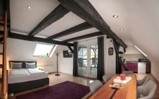 Hotel Apartment Ferienwohnung Meyenhof Frankenberg Eder - Frankenberg - 9