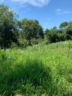 Cabañas la flor - 6