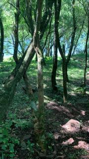 Cabañas la flor - 5