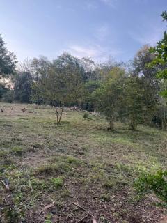 Cabañas la flor - 1