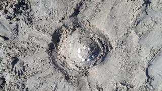 Villavilla #594 - Rømø, Sydjylland - 7