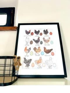 fattoria Coppetella Cemani - 6